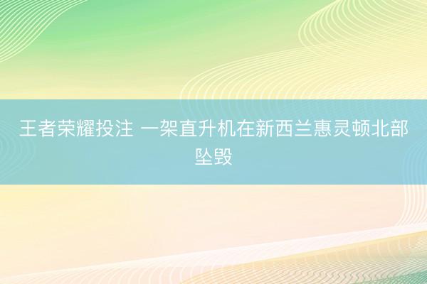 王者荣耀投注 一架直升机在新西兰惠灵顿北部坠毁