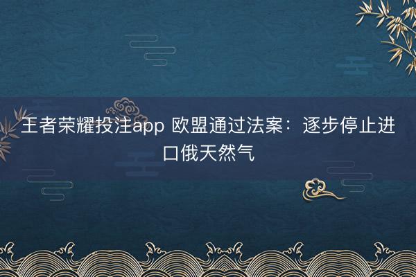 王者荣耀投注app 欧盟通过法案：逐步停止进口俄天然气