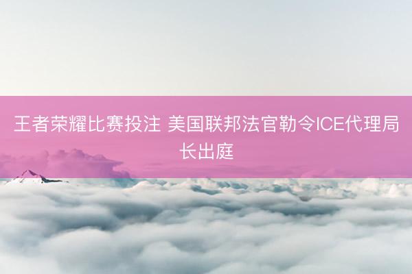 王者荣耀比赛投注 美国联邦法官勒令ICE代理局长出庭