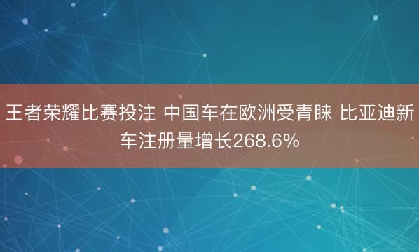 王者荣耀比赛投注 中国车在欧洲受青睐 比亚迪新车注册量增长268.6%