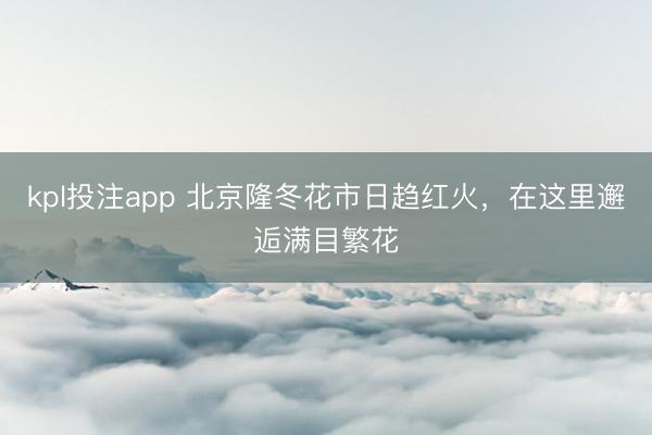 kpl投注app 北京隆冬花市日趋红火，在这里邂逅满目繁花