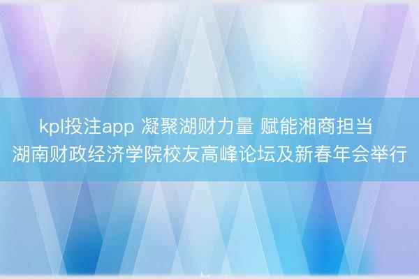 kpl投注app 凝聚湖财力量 赋能湘商担当 湖南财政经济学院校友高峰论坛及新春年会举行