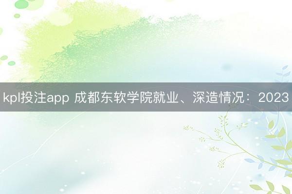 kpl投注app 成都东软学院就业、深造情况：2023