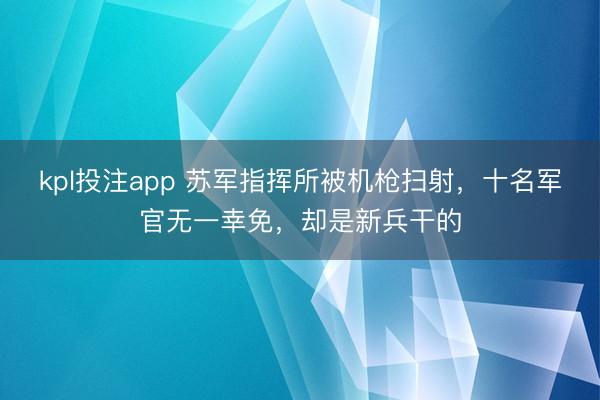 kpl投注app 苏军指挥所被机枪扫射，十名军官无一幸免，却是新兵干的