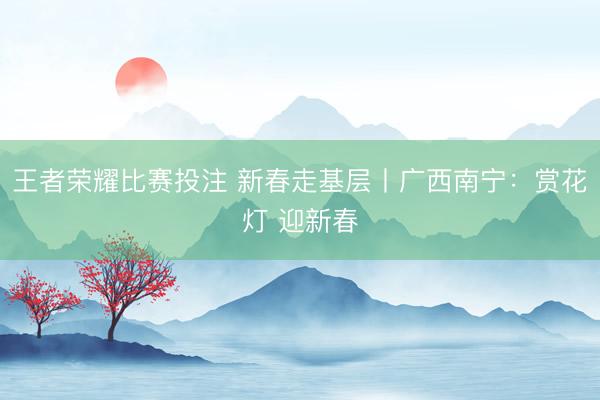 王者荣耀比赛投注 新春走基层丨广西南宁：赏花灯 迎新春