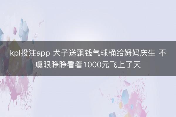 kpl投注app 犬子送飘钱气球桶给姆妈庆生 不虞眼睁睁看着1000元飞上了天