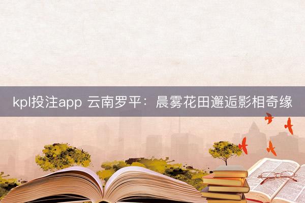 kpl投注app 云南罗平:晨雾花田邂逅影相奇缘
