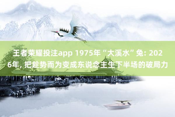 王者荣耀投注app 1975年“大溪水”兔: 2026年， 把趁势而为变成东说念主生下半场的破局力