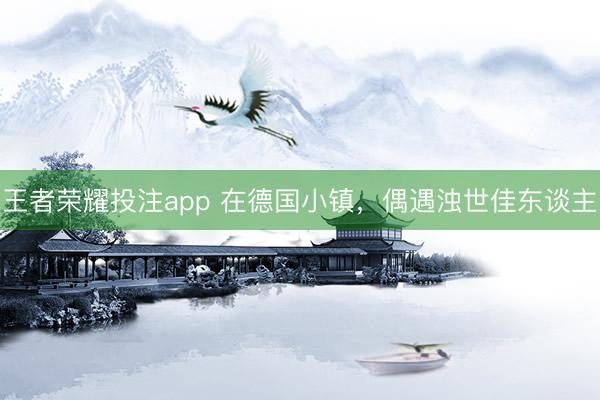 王者荣耀投注app 在德国小镇，偶遇浊世佳东谈主