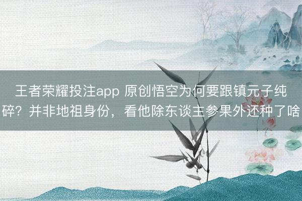 王者荣耀投注app 原创悟空为何要跟镇元子纯碎?并非地祖身份,看他除东谈主参果外还种了啥