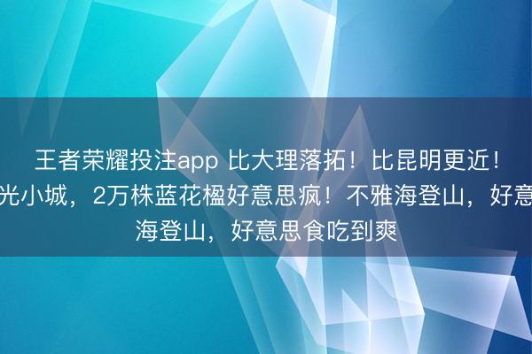 王者荣耀投注app 比大理落拓！比昆明更近！高铁直达阳光小城，2万株蓝花楹好意思疯！不雅海登山，好意思食吃到爽