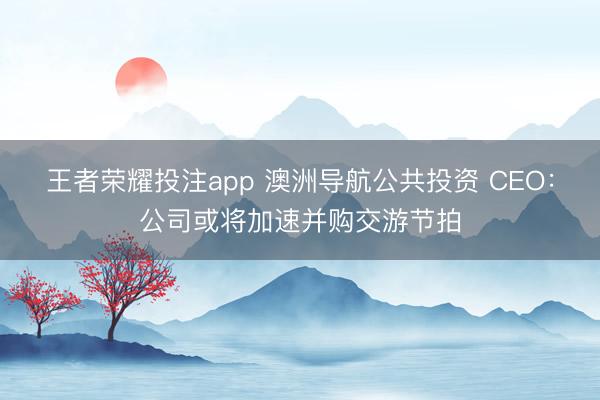 王者荣耀投注app 澳洲导航公共投资 CEO：公司或将加速并购交游节拍