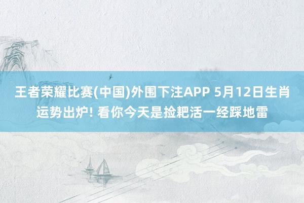 王者荣耀比赛(中国)外围下注APP 5月12日生肖运势出炉! 看你今天是捡耙活一经踩地雷
