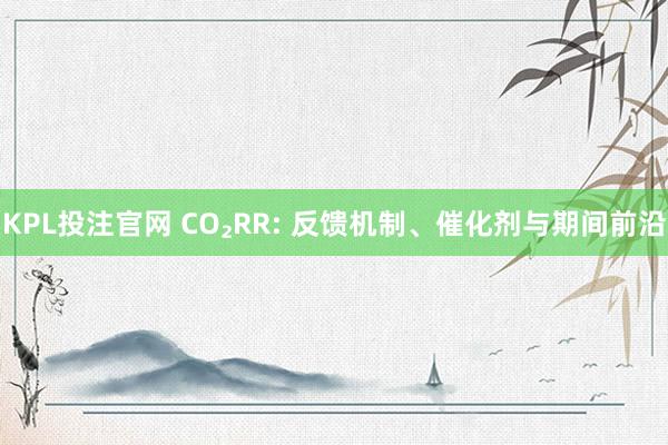 KPL投注官网 CO₂RR: 反馈机制、催化剂与期间前沿