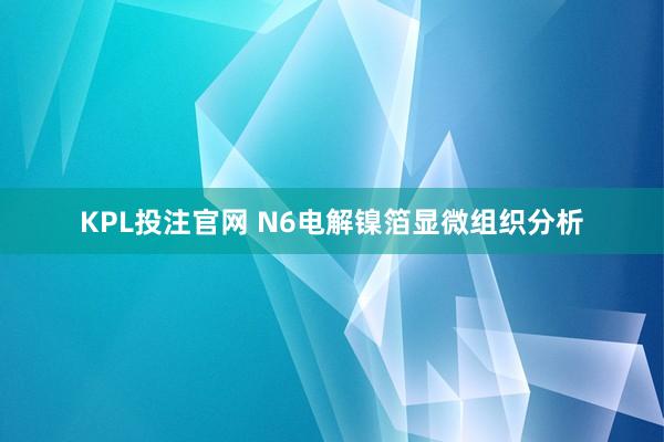 KPL投注官网 N6电解镍箔显微组织分析