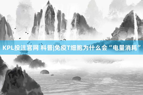 KPL投注官网 科普|免疫T细胞为什么会“电量消耗”