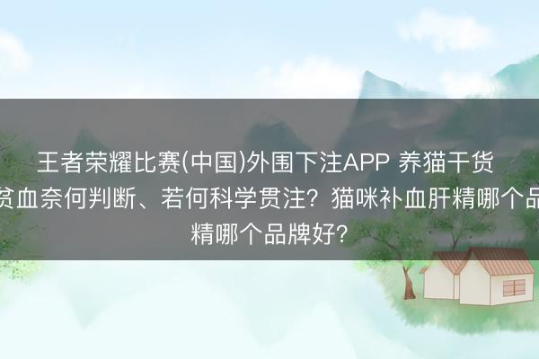 王者荣耀比赛(中国)外围下注APP 养猫干货 | 猫咪贫血奈何判断、若何科学贯注？猫咪补血肝精哪个品牌好？