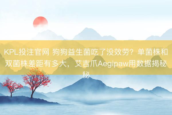 KPL投注官网 狗狗益生菌吃了没效劳？单菌株和双菌株差距有多大，艾吉爪Aegipaw用数据揭秘