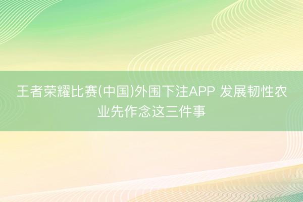 王者荣耀比赛(中国)外围下注APP 发展韧性农业先作念这三件事
