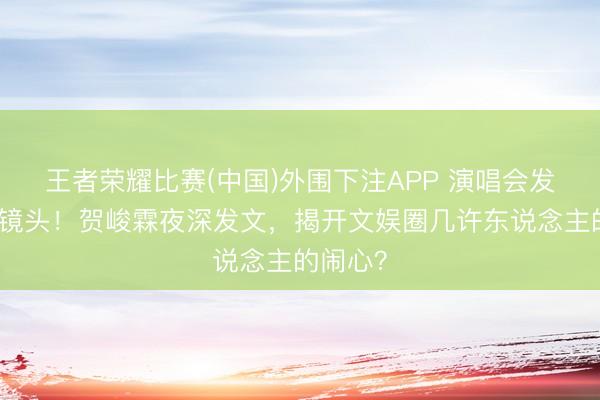 王者荣耀比赛(中国)外围下注APP 演唱会发言被切镜头！贺峻霖夜深发文，揭开文娱圈几许东说念主的闹心？