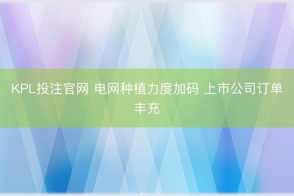 KPL投注官网 电网种植力度加码 上市公司订单丰充