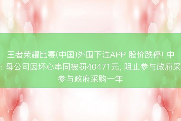 王者荣耀比赛(中国)外围下注APP 股价跌停! 中国软件: 母公司因坏心串同被罚40471元， 阻止参与政府采购一年