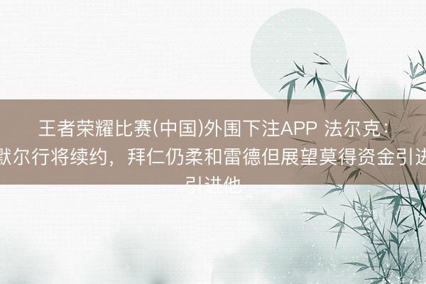 王者荣耀比赛(中国)外围下注APP 法尔克：莱默尔行将续约，拜仁仍柔和雷德但展望莫得资金引进他