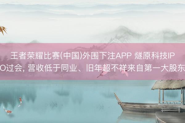 王者荣耀比赛(中国)外围下注APP 燧原科技IPO过会， 营收低于同业、旧年超不祥来自第一大股东