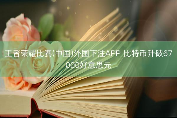 王者荣耀比赛(中国)外围下注APP 比特币升破67000好意思元