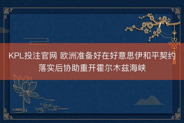 KPL投注官网 欧洲准备好在好意思伊和平契约落实后协助重开霍尔木兹海峡